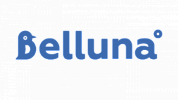 Belluna